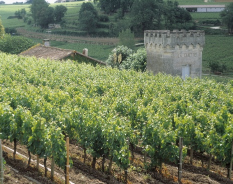 Un séjour pour tous les goûts en Aquitaine !