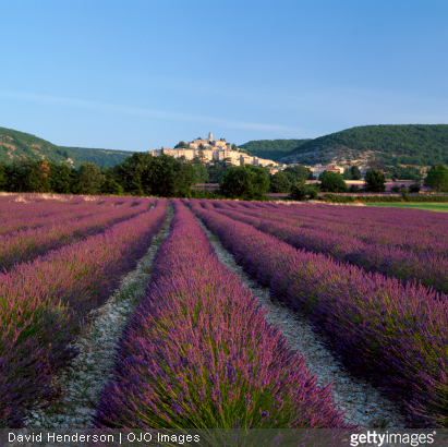 La Provence vous attend pour vos vacances cet été !