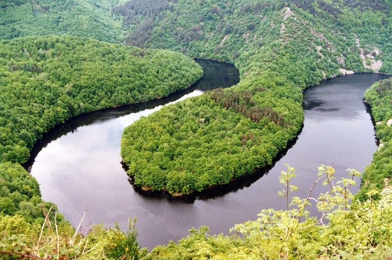 La Sioule dans l’Allier. Source image : https://fr.petitsfrenchies.com