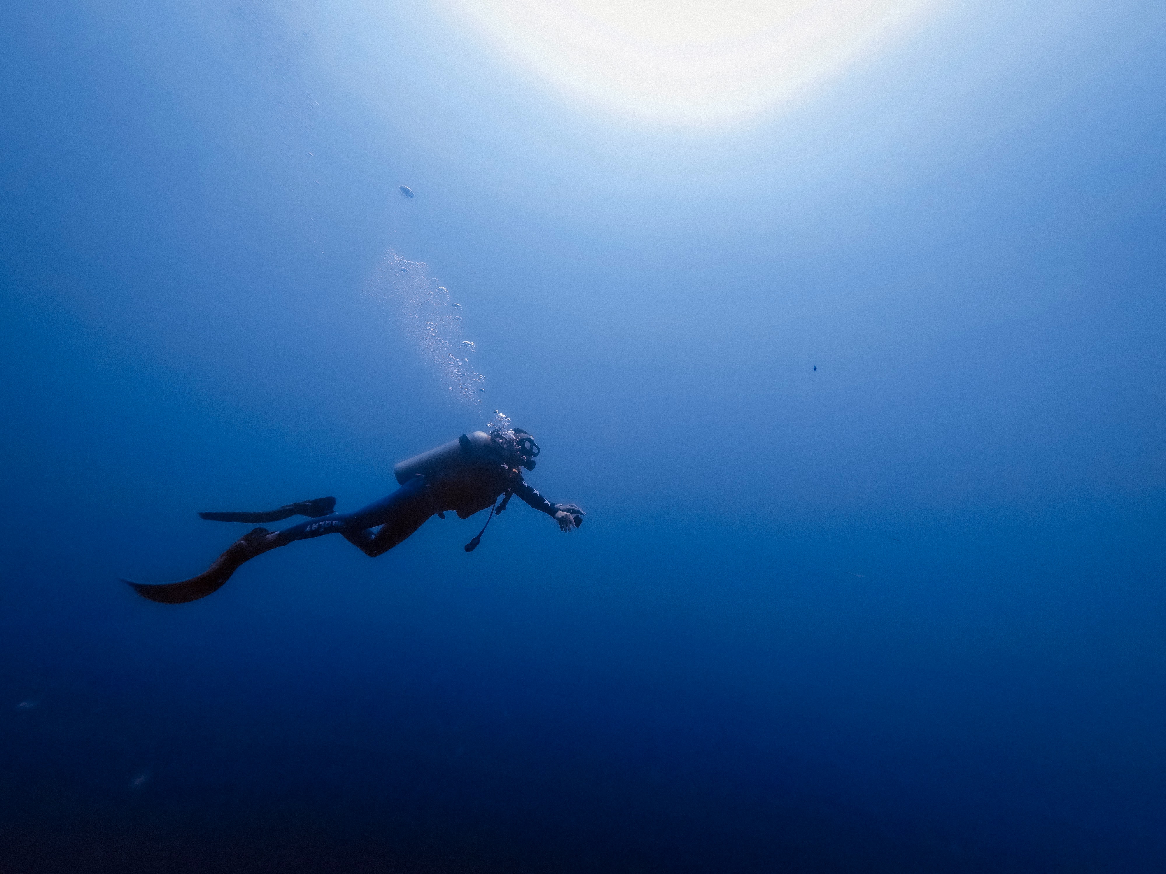 plongée sous marine