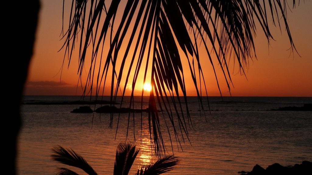 Meilleure saison pour l’île Maurice : quand partir