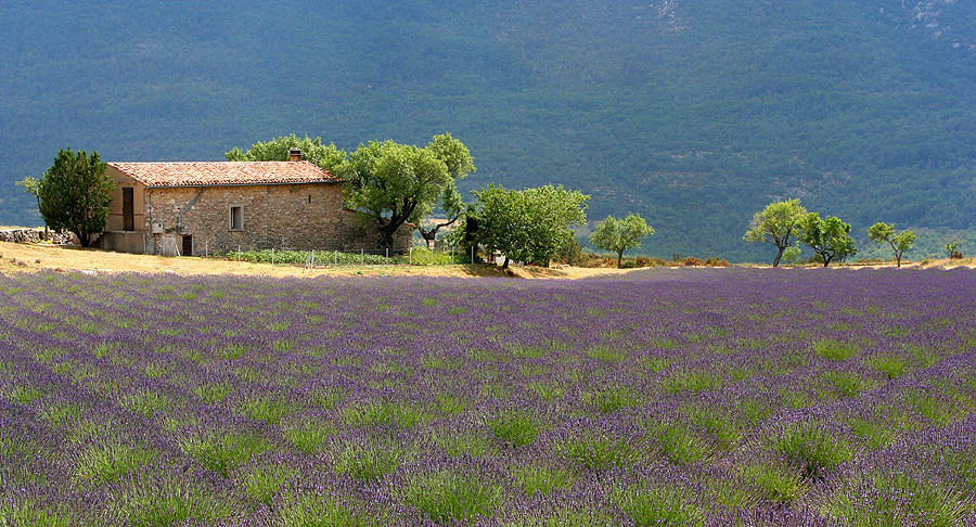 Vacances farniente en Provence