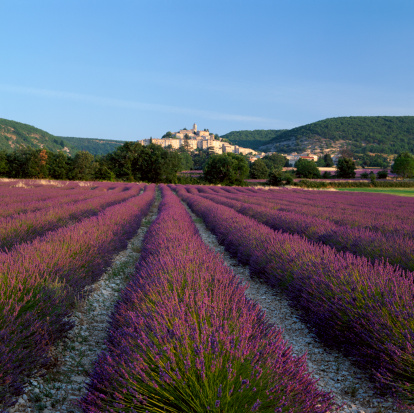 Faire une halte en Provence