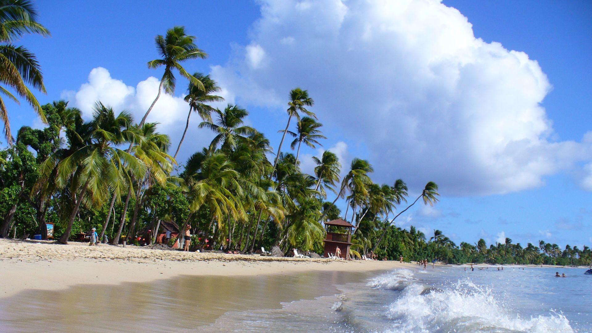 Martinique : partez à la découverte de la ville de Marin