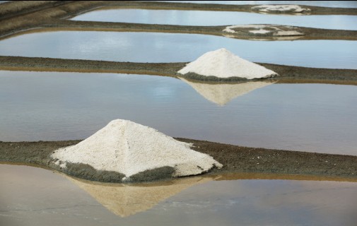 marais salants guérande