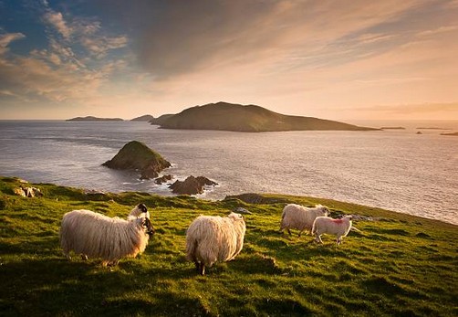 Les meilleures périodes pour découvrir l’Irlande