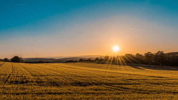 Quel est votre type de paysage préféré ?