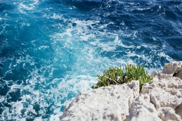 Coup de coeur : le sentier du littoral à Nice