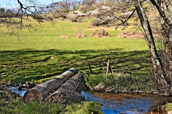 Que faire dans le Morvan ?