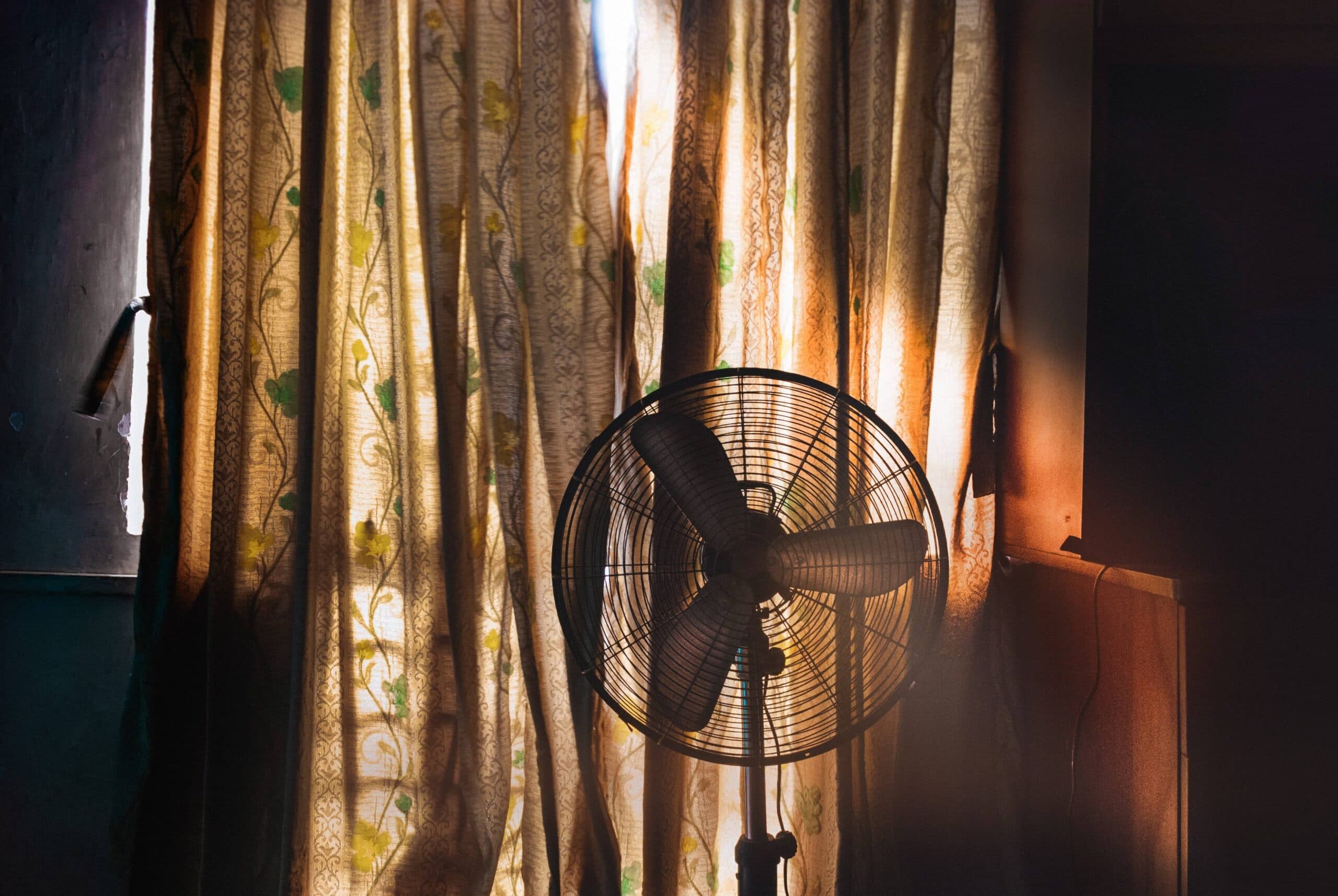 D’où vient le mot « canicule » ?