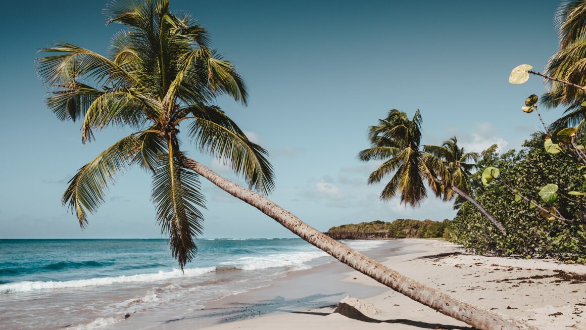 plis belle plage de Martinique