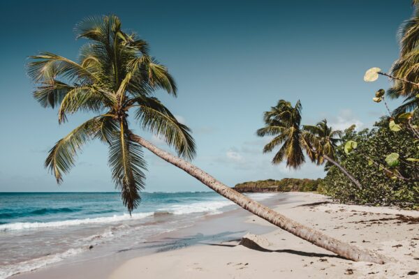 Quelles sont les plus belles plages de Martinique ?