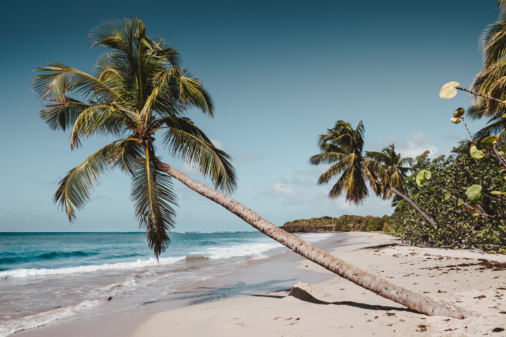 plis belle plage de Martinique