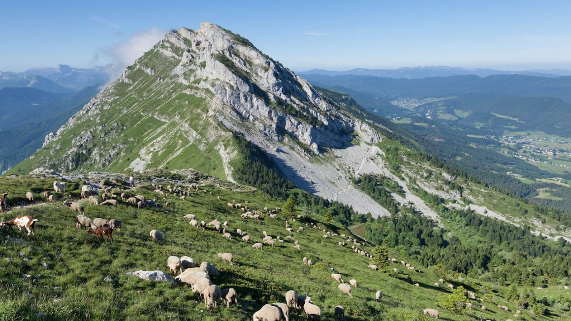 auvergne