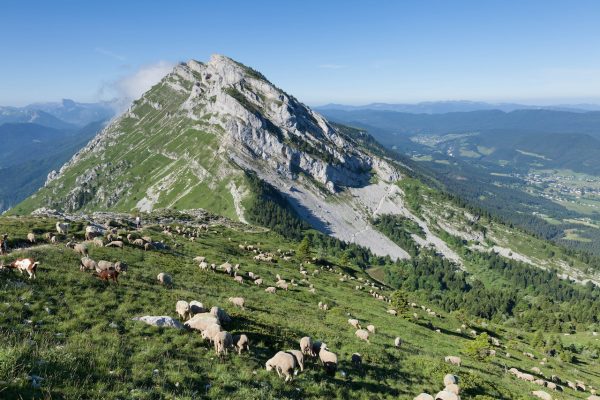 Pourquoi aller à la montagne au printemps ?