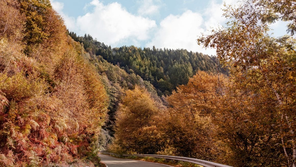 voyage automne